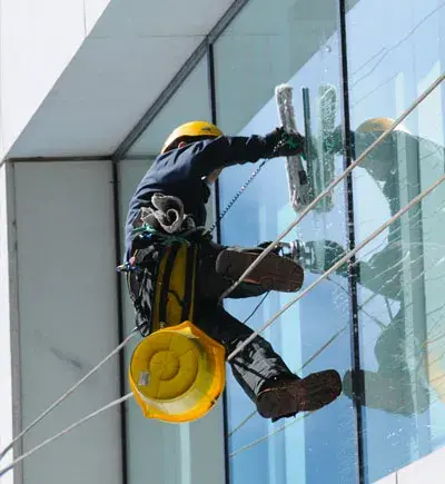 Servicios complementarios