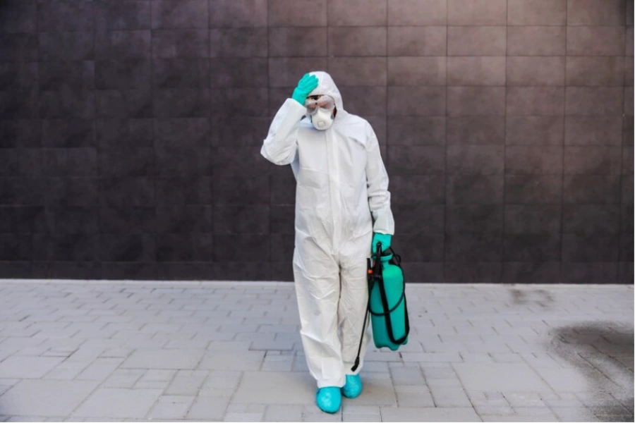 errores que puedes cometer al intentar eliminar una plaga de forma particular