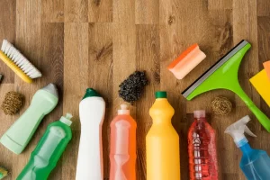 empresa de limpieza palomino